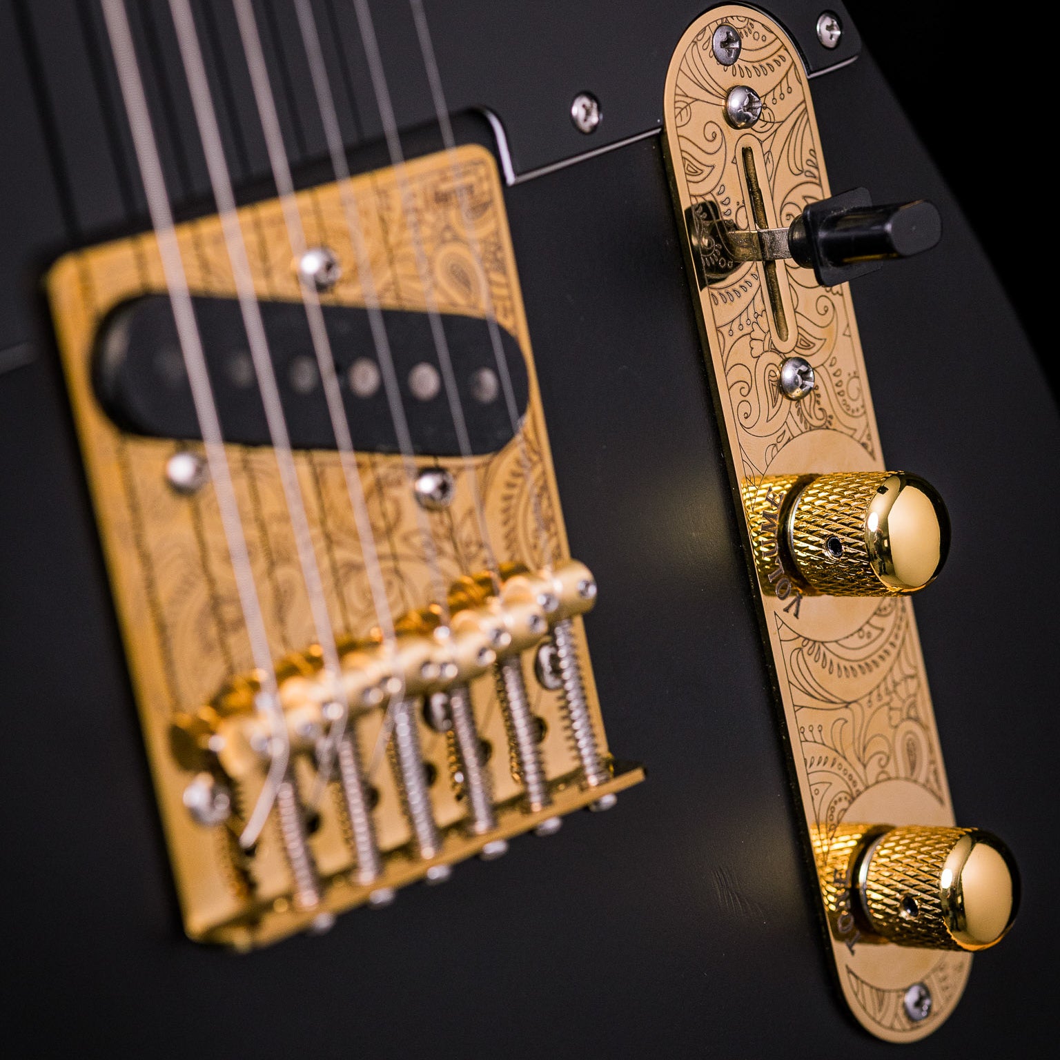 Ramme TL Paisley Kit, Vintage 6C, Gold Finish | Mbit – Mbit Guitars