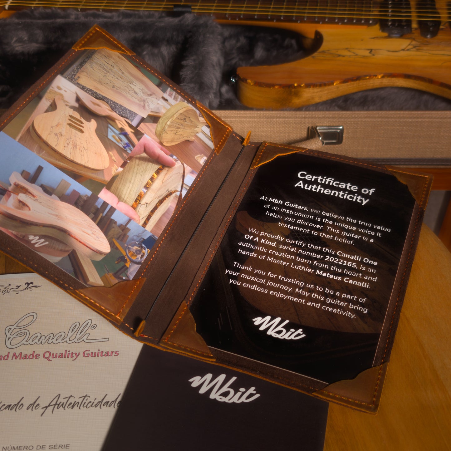 Canalli One Of A Kind - Superstrat — view 16