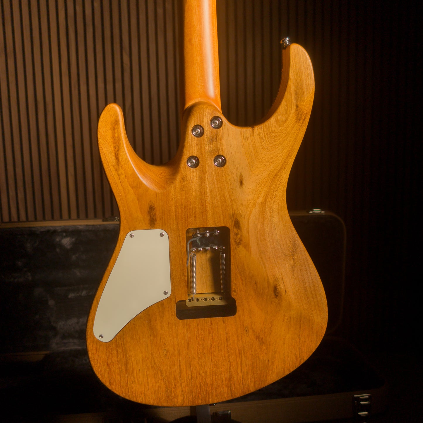Canalli One Of A Kind - Superstrat — view 12