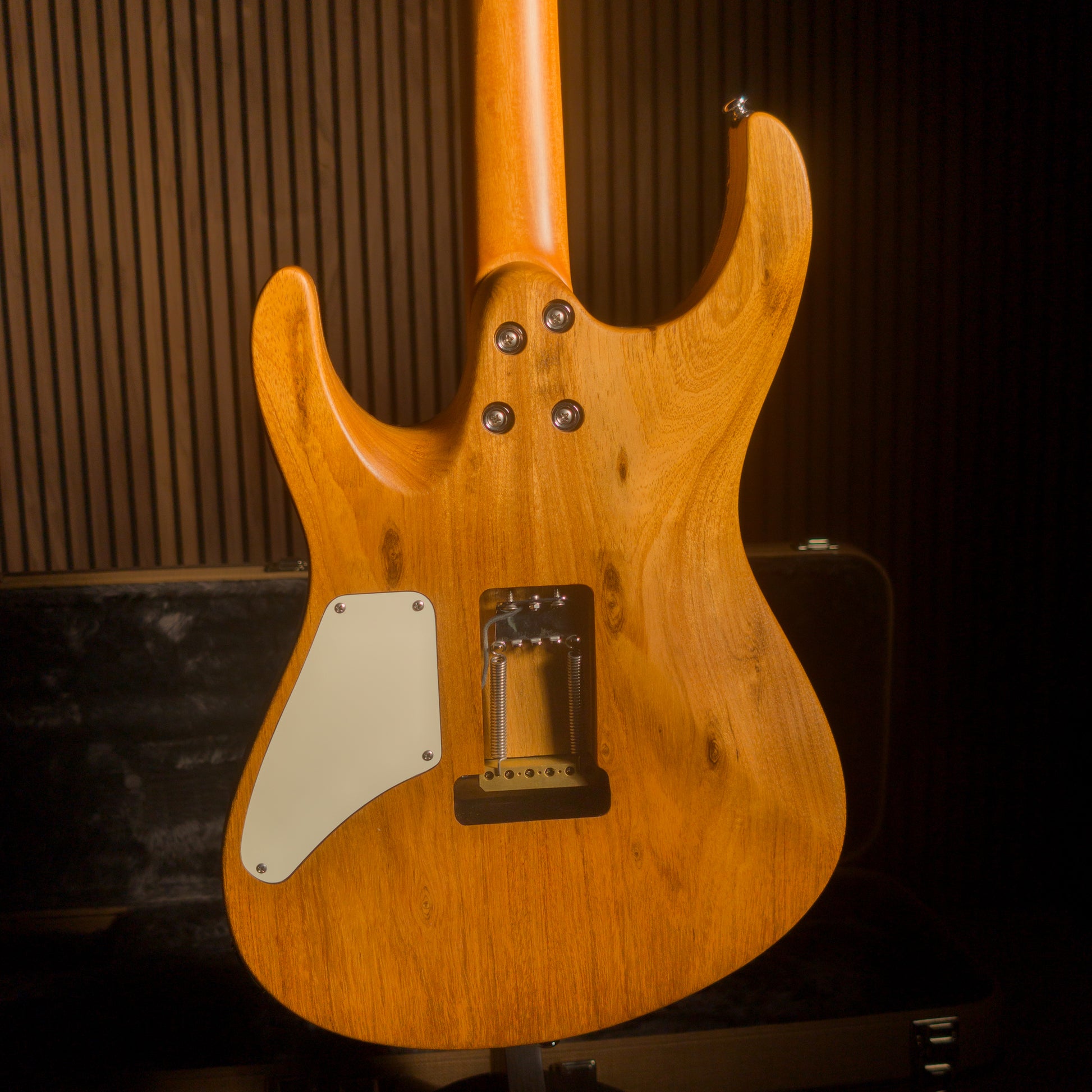 Canalli One Of A Kind - Superstrat — view 12